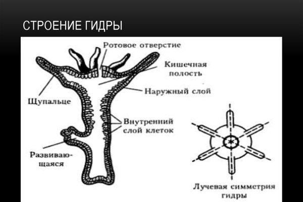 Kraken в россии