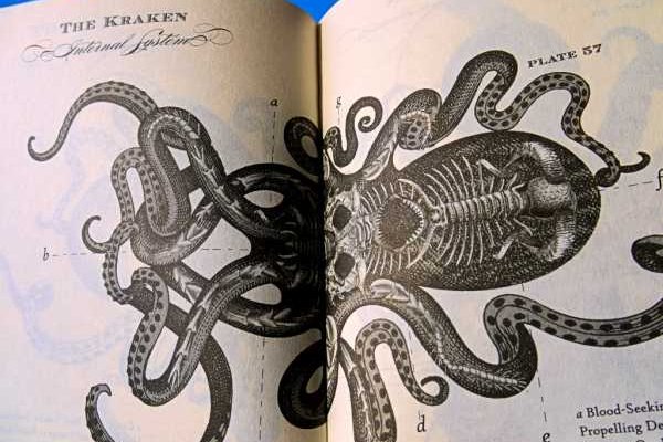 Кракен макет даркнет