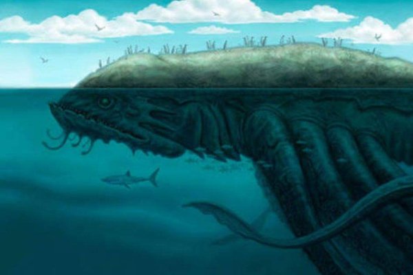 Kraken это современный маркетплейс