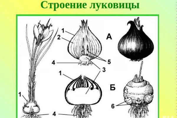 Что такое кракен площадка