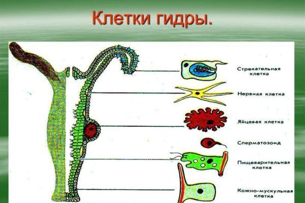 Работающий сайт кракен