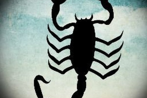 Как пополнить кошелек на кракене даркнет
