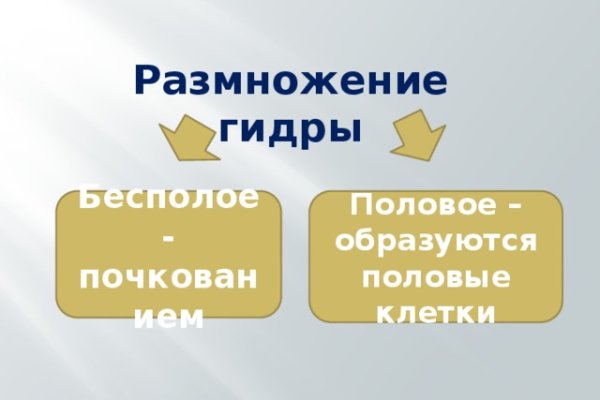 Kraken оригинальная ссылка